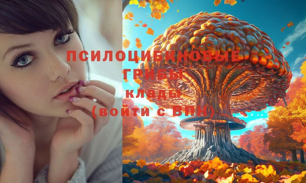 ALPHA-PVP Мегион