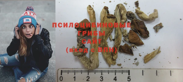 амф Магас
