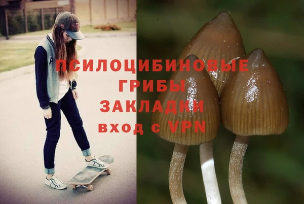 кокаин Медногорск