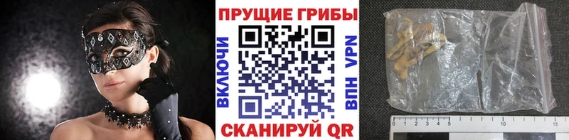 Галлюциногенные грибы Psilocybine cubensis  где можно купить   hydra зеркало  Нижний Тагил 