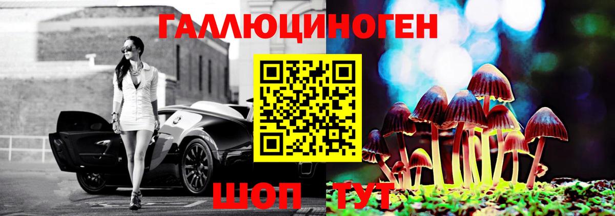 Псилоцибиновые грибы Psilocybe  Вход с VPN  Нижний Тагил 